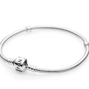 Pandora Iconic Silver Charm bracelet